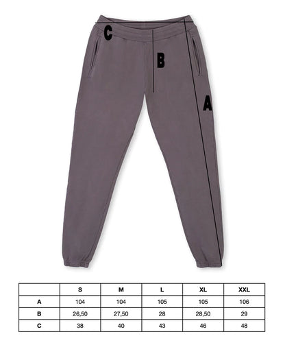Heavyweight Washed grey pants